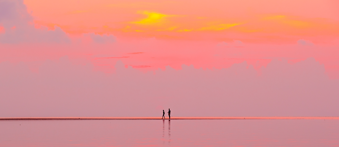 UN PRINTEMPS EN « LIVING CORAL » : les photographies de Charlotte Curd