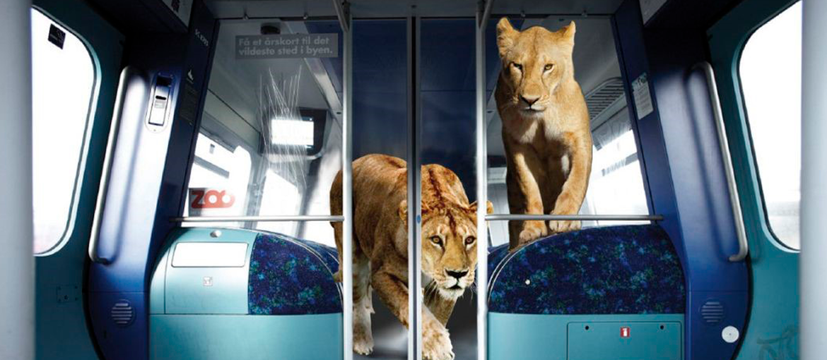 “Covering” publicitaire et moyens de transport : de quoi s’agit-il ?