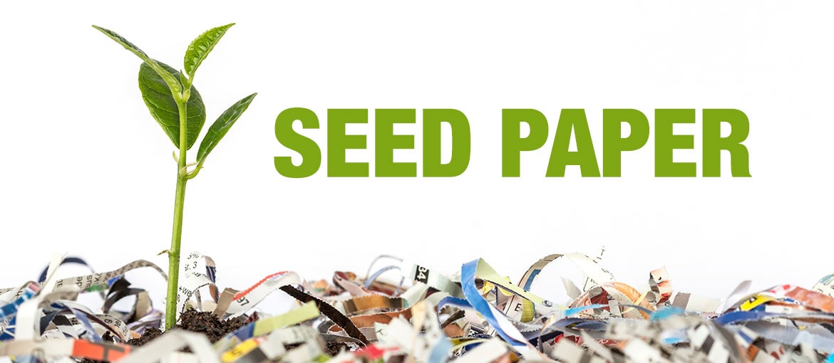 Papier plantable. Vous en avez déjà entendu parler ?