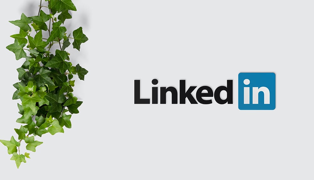 Créer un profil LinkedIn efficace pour se procurer du travail, des clients et des contacts.