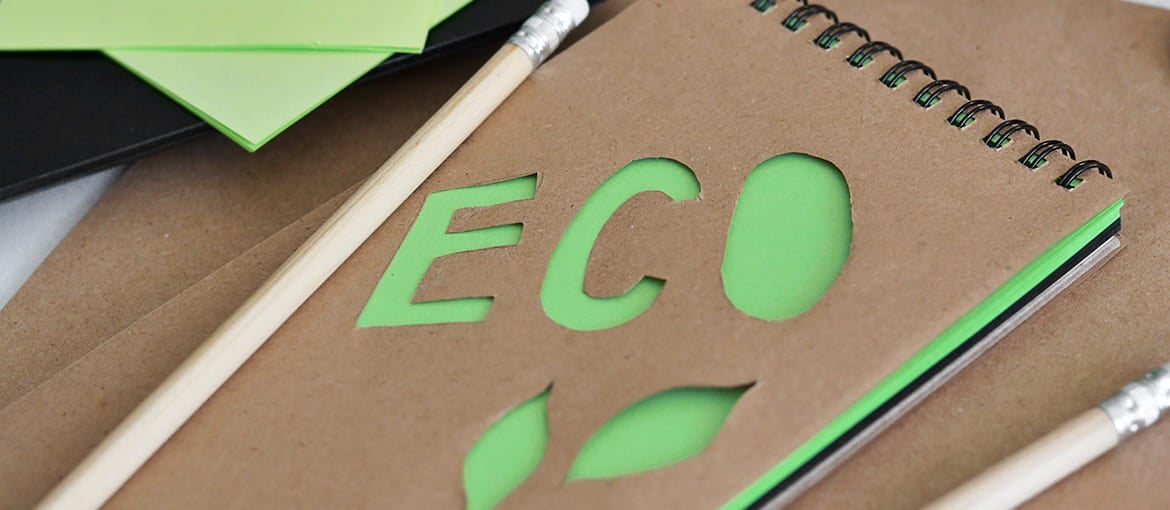Cadeaux écologiques : cadeaux d’entreprise respectueux de l’environnement