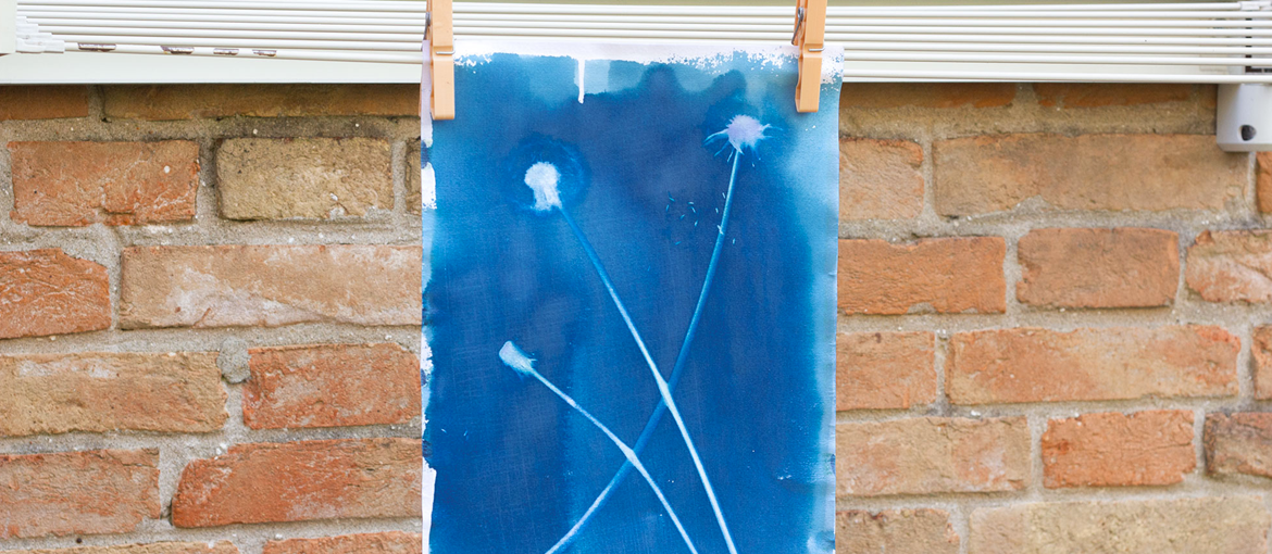 Guide du cyanotype