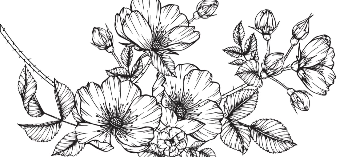 Les illustrations : à quoi servent-elles ?