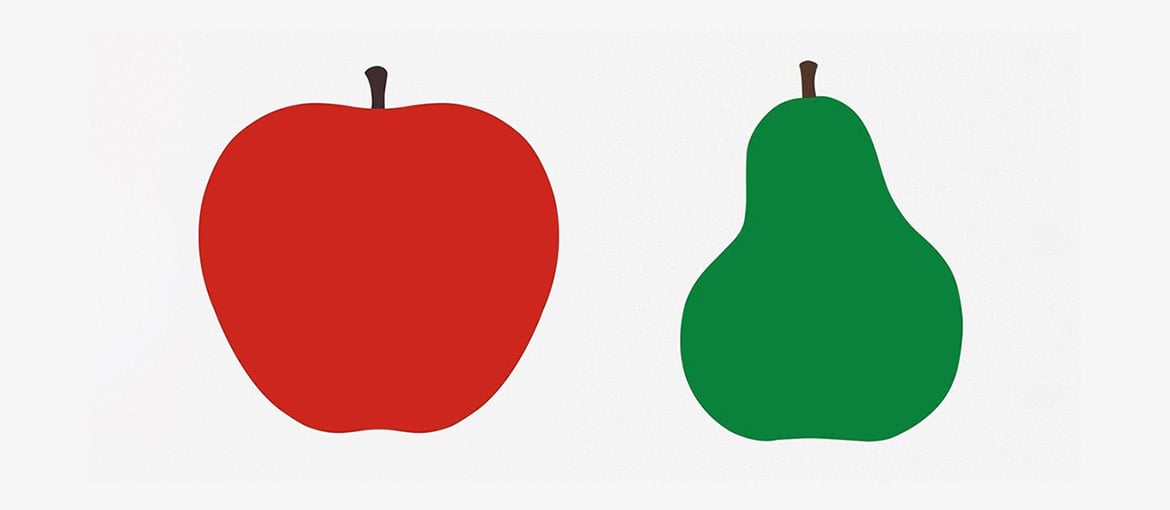 Maîtrise de la conception graphique : Enzo Mari