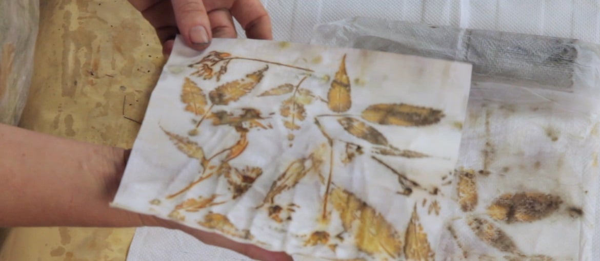 Décorer le papier avec des fleurs et des feuilles : l’éco-impression
