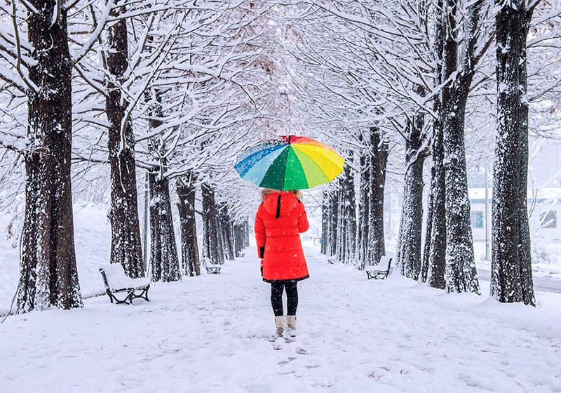 Les palettes d’hiver dans l’analyse des couleurs : que sont-elles et comment les créer ?