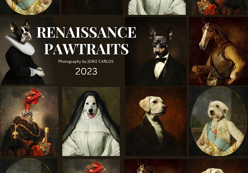 #PRINTSTORIES : Joao Carlos et ses calendriers animaliers