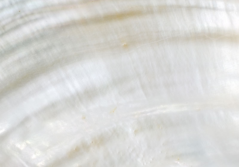 #powercolours : Nacre