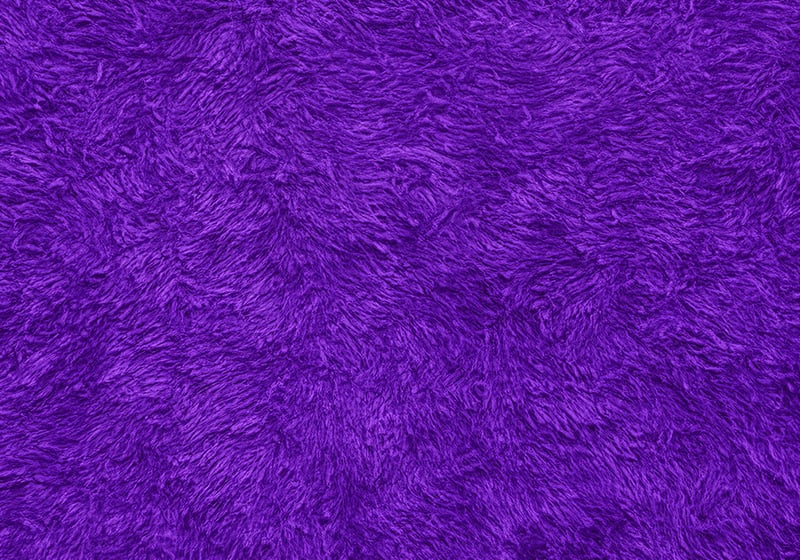 #Powercolours : le pourpre, une couleur véritablement frappante
