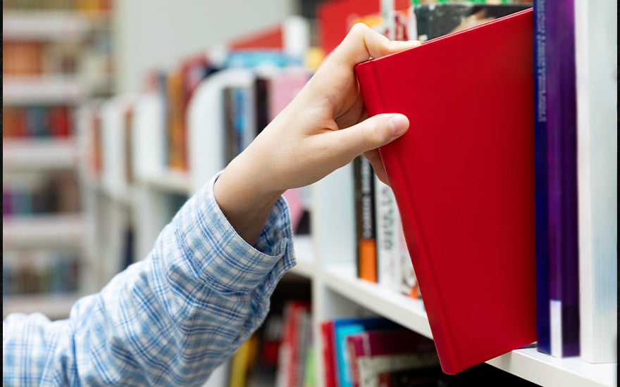 Les livres les plus vendus en 2024